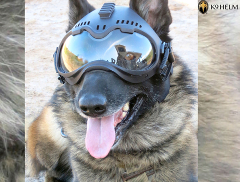 K9 Helm CS-1 GoggleHelm Covert Series Headgear , Dogs Helmet , Capacete Tático para Cães - comprar online