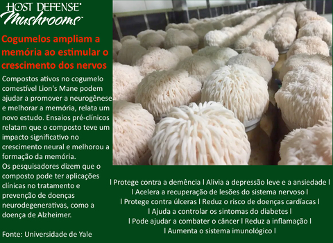 Host Defense Lion's Mane (Juba de Leão) Capsules Promove Clareza Mental, Foco e Memória Suplemento de Cogumelo 120 Cápsulas - Loja do Jangão - InterBros