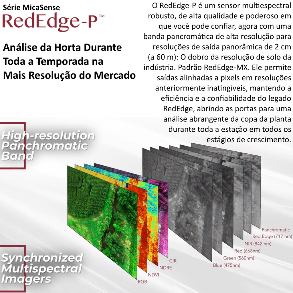 Ageagle MicaSense RedEdge-P Sensor Multispectral l DJI SkyPort Kit l Compatível com Matrice 300 RTK en internet