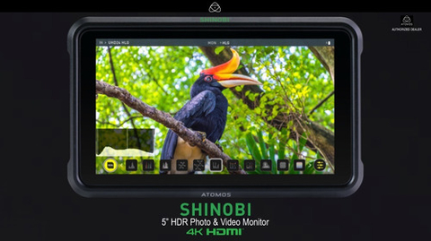 Atomos Shinobi 5.2 Monitor + Power Kit - comprar online