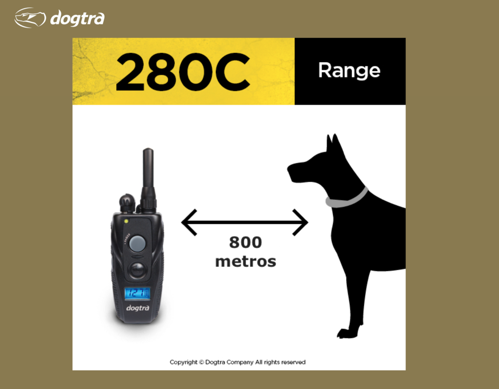 Dogtra 282C para 2 Cães | Cães Acima de 4,5 Kgs | Sistema Médio de Estímulo para 2 Cães | Sistema com Colar Ergonômico de Treinamento Remoto | Alcance de até 800 metros | A Prova D' Água - loja online