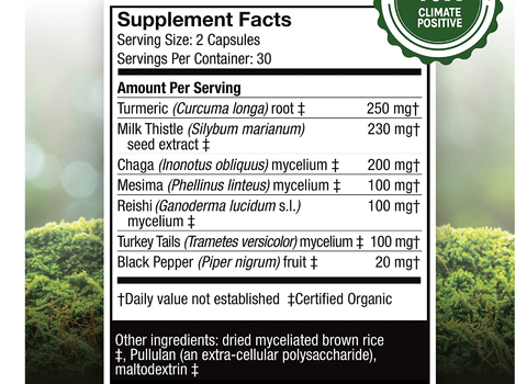 Host Defense MycoBotanicals Liver , Turkey Tail , Chaga , Mesima , Reishi , Suplemento de Cogumelos e Ervas Apoia a Saúde e Desintoxicação do Fígado 60 Cápsulas