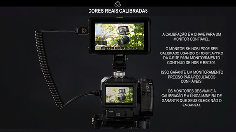 Atomos Shinobi 5.2 Monitor + Power Kit na internet