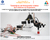 Dobot Basic AI Kit + Dobot AI Teaching Kit, for Magician Robotic Arm , Kit Básico de IA , Acessório Educacional , +8 anos