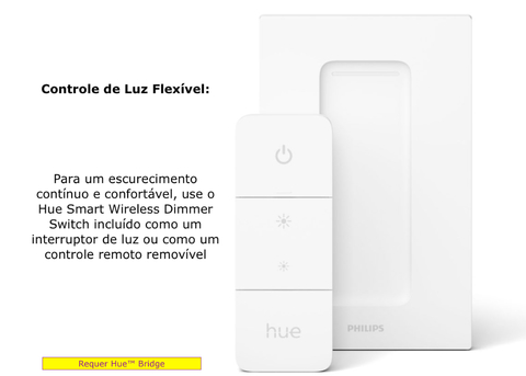 Philips Hue White and Color Ambiance Explore l Smart Energised Pendant l Luminária LED Pendente Inteligente l Poderoso Fluxo Luminoso de até 3.300 lumen l Copas, Cozinhas, Sala de Jantar, Escritório, Cabeceira l Compatível com Alexa, Apple Homekit & Google Assistant l Requer Hue Bridge - loja online