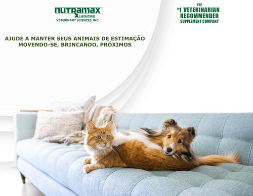 Cosequin DS Nutramax Cães 132 Tabletes Mastigáveis na internet