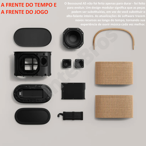 Bang & Olufsen Beosound A5 Powerful Portable Bluetooth Speaker with Wi-Fi Connection, Carry-Strap, Dark Oak