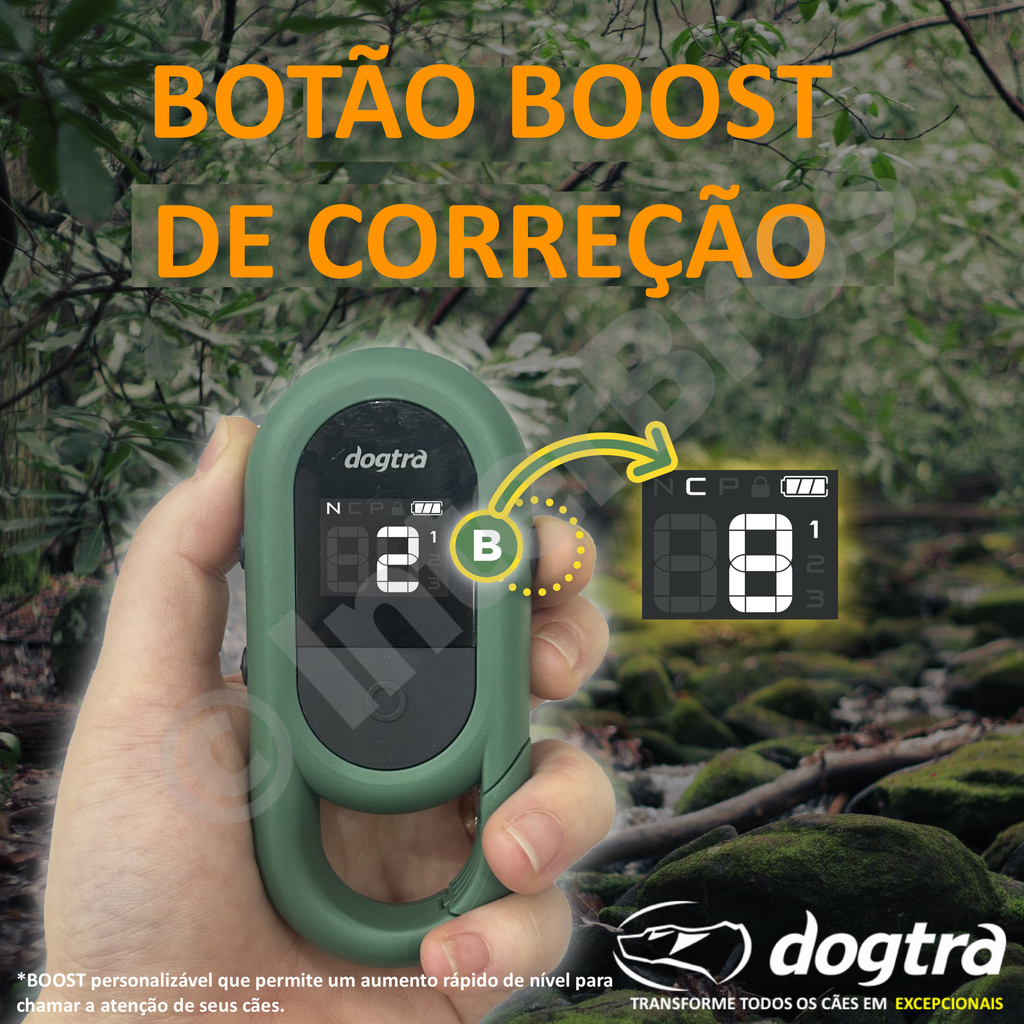 Dogtra CUE E-Collar Cor Yellow Sistema de Treinamento Eletrônico à prova d'água para cães pequenos, médios e grandes