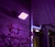 Philips Hue Discover Outdoor Floodlight + Hue Dusk-to-Dawn Sensor de Movimento Outdoor l Luminária de Parede l Projetor de Segurança l Poderoso Fluxo Luminoso 2.300 lumen l LED Integrado l Compatível com a Alexa, Apple Homekit & Google Assistant | Requer Hue Bridge