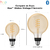 Philips Hue White Ambiance Dimmable Smart Filament G40 l Lâmpada Globo Gigante l LED de Filamento Vintage l 2ª Geração l Mais Brilhantes l Branco Quente a Branco Frio | Compatível com Alexa, Apple Homekit & Google Assistant | Funciona com Bluetooth e/ou com a Hue Bridge