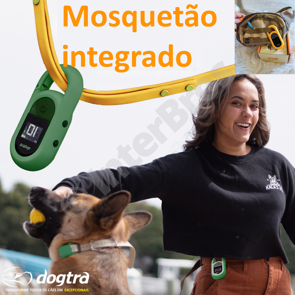 Dogtra CUE E-Collar Cor Yellow Sistema de Treinamento Eletrônico à prova d'água para cães pequenos, médios e grandes - comprar online