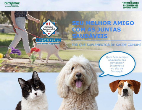 Cosequin DS Nutramax Cães 132 Tabletes Mastigáveis - loja online