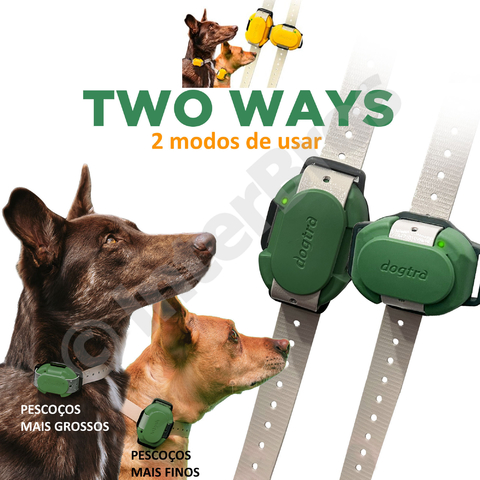 Dogtra CUE E-Collar Cor Yellow Sistema de Treinamento Eletrônico à prova d'água para cães pequenos, médios e grandes na internet