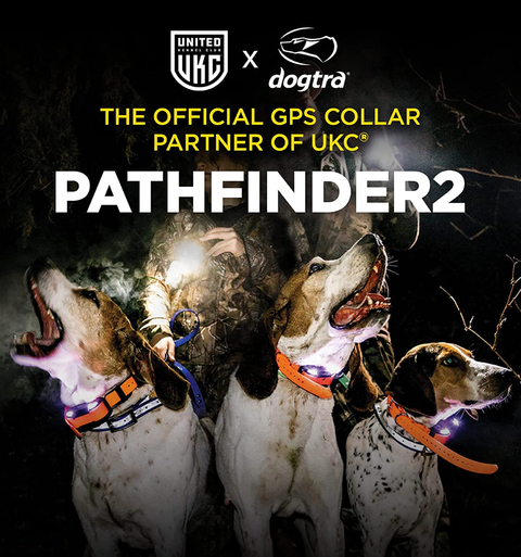 Dogtra Pathfinder 2 Com Case de Trasnporte | E-Collar Series GPS Rastrear e Treinar | Cães Acima de 15 Kgs | Pescoços Acima de 30 cms |Alcance de até 14,5 Kms | Expansível para até 21 cães | A prova d'água | Taxa de GPS de Atualização de 2 segundos | Requer Smartphone | Sem taxa de assinatura | Mapa de satélite gratuito e OFFLINE | Não Requer Sinal de Celular - loja online