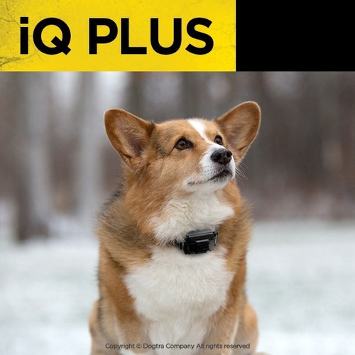 Imagem do Dogtra IQ Plus para 2 Cães | Cães Acima de 4,5 Kgs | Sistema de Estímulo Médio | Sistema com Colar Ergonômico de Treinamento Remoto | Alcance de até 365 metros | A Prova D' Água