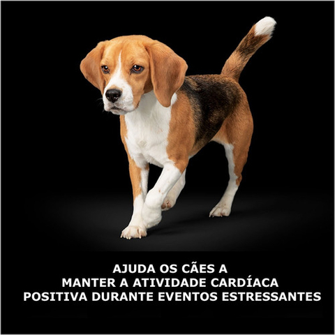 Purina Calming Care Canine | Probiótico & Calmante Natural para Cães | Anti Stress | 45 Sachês - loja online