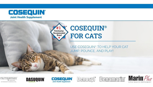 Cosequin + Omega3 60 Tabletes Macios Gatos - Loja do Jangão - InterBros