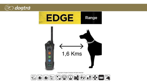 Dogtra EDGE com Case de Transporte | Expansível para até 4 Cães | Projetada para Profissionais | Precisa e Robusta | Treinamento em Campo com até 4 Cães | Alcance de 1,6 Kms | A Prova D' Água na internet