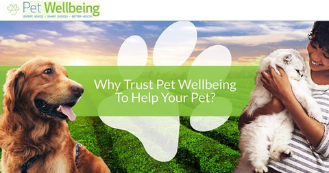 2 Suplementos Suporte Respiratório Cão Pet Wellbeing Natural - loja online