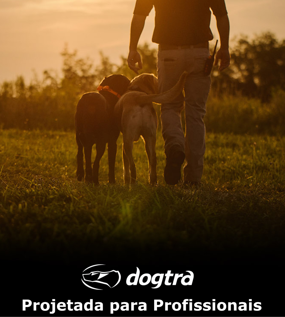 Imagem do Dogtra Pathfinder SE | E-Collar Series GPS Rastrear e Treinar | Cães Acima de 15 Kgs | Pescoços Acima de 30 cms | Alcance de até 14,5 Kms | Expansível para até 21 cães | A prova d'água | Taxa de GPS de Atualização de 2 segundos | Requer Smartphone | Sem taxa de assinatura | Mapa de satélite gratuito e OFFLINE | Não Requer Sinal de Celular