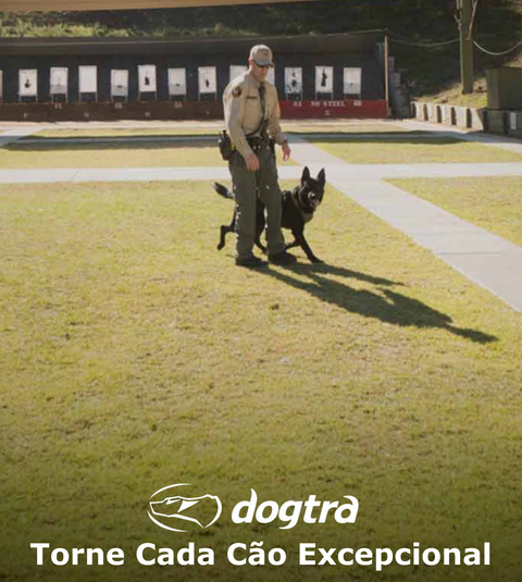 Dogtra YS600 No Bark E-Collar | Coleira Eletrônica Anti Latido | Cães acima de 15 Kgs | Sensor de Reconhecimento de Latido | Correção Automática por Vibração ou Estática | A Prova D' Água - comprar online