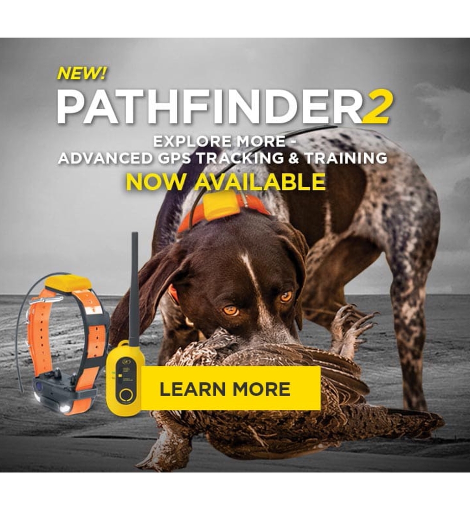 Dogtra Pathfinder SE Colar GPS Luminoso Adicional | E-Collar Series GPS Rastrear e Treinar | Cães Acima de 15 Kgs | Pescoços Acima de 30 cms | Alcance de até 14,5 Kms | Expansível para até 21 cães | A prova d'água | na internet