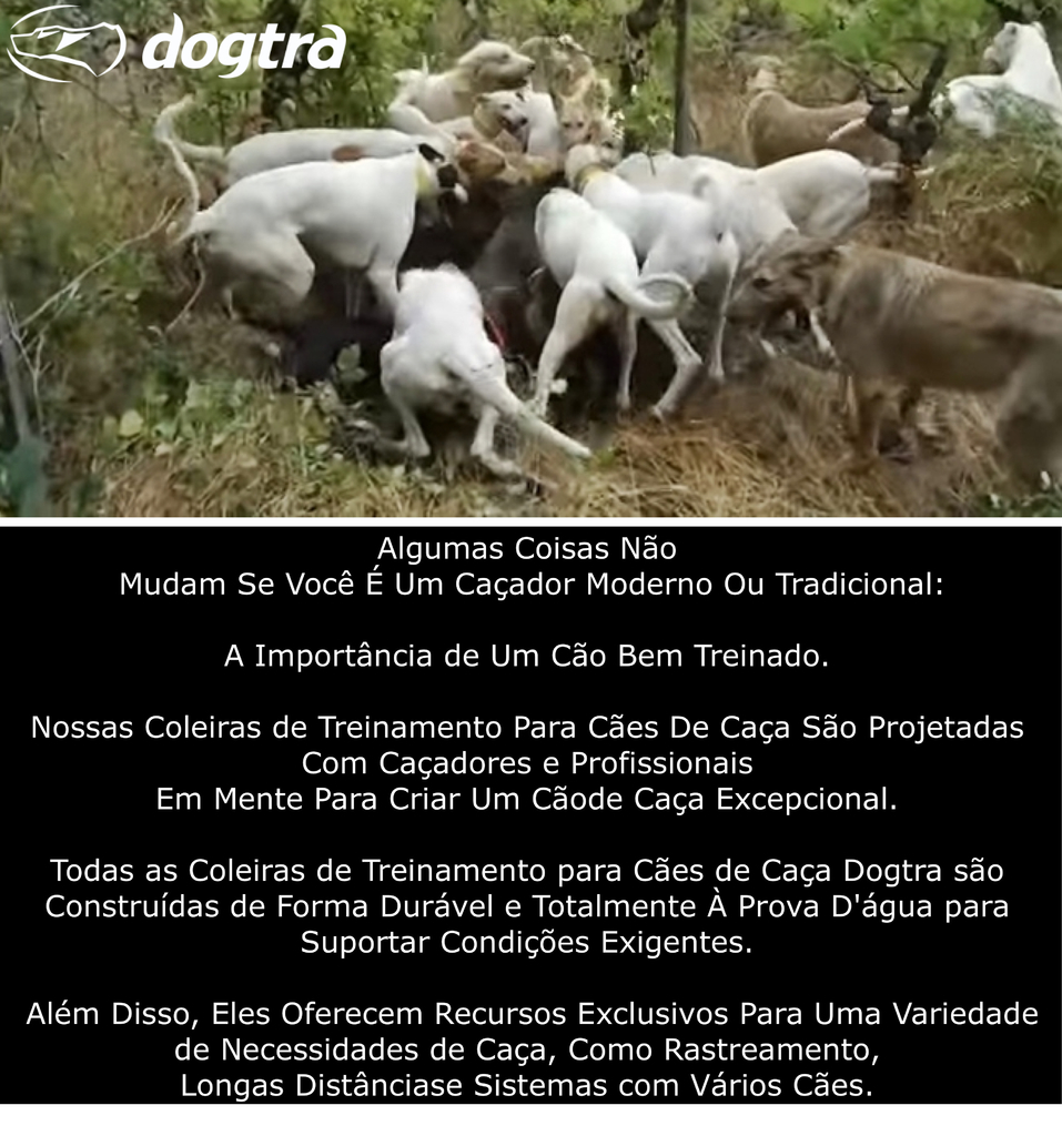 Via Streaming – Dica da Semana: “Cães de Caça”