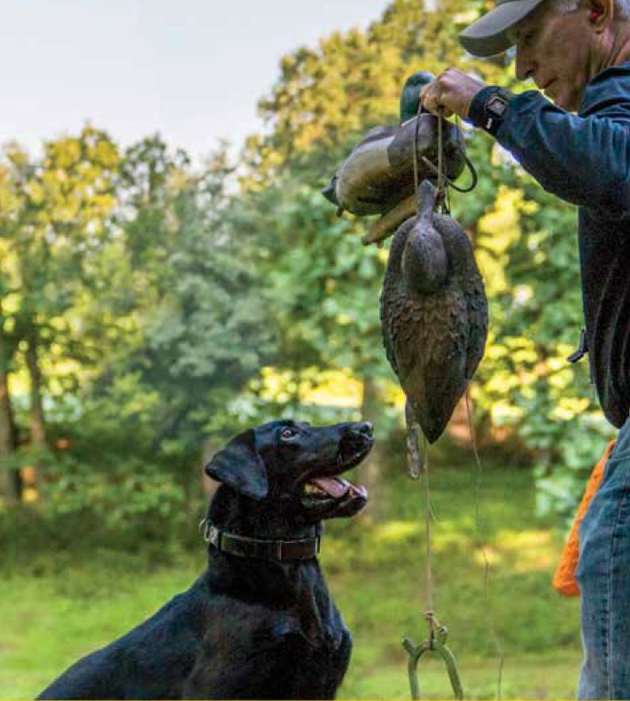 Dogtra 1900S Wetlands | Camuflagem Aquática | Cães Acima de 16 Kgs | Sistema de ALTA PERFORMANCE | Treinamento para CAÇA | Sistema com Colar Ergonômico de Treinamento Remoto | Alcance de até 1,2 Kms | IPX9K A Prova D' Água | na internet