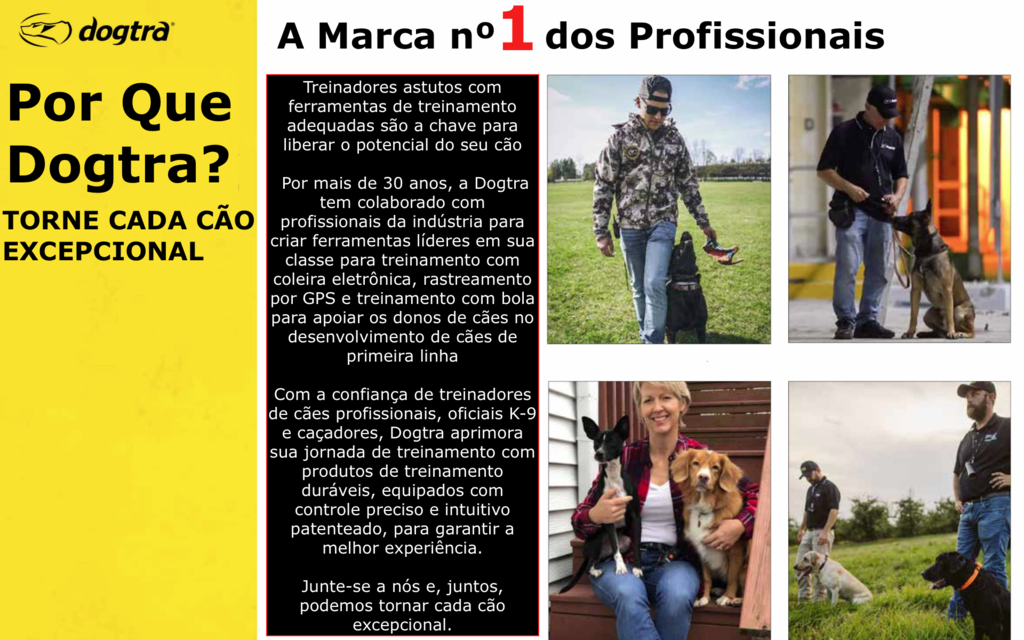 Dogtra Pathfinder 2 Colar GPS Luminoso Adicional | E-Collar Series GPS Rastrear e Treinar | Cães Acima de 15 Kgs | Pescoços Acima de 30 cms | Alcance de até 14,5 Kms | Expansível para até 21 cães | A prova d'água | - comprar online