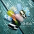 TALLER ONLINE NAIL ART VOL. 1