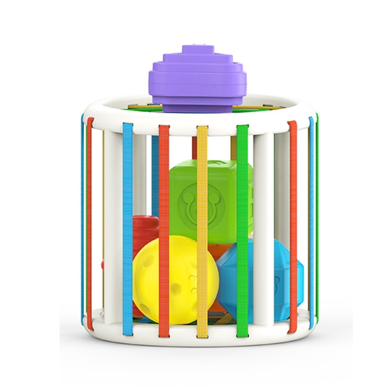 Forma Colorida Blocos Brinquedos Montessori Para 1 Ano De Idade Do Bebê  Puxar Cenoura Set Jogo Miúdo Brinquedo Educativo Crianças Babi Presente -  Escorrega o Preço