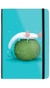 notebook-axolotl-mossball