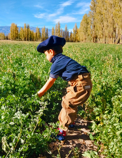 Bombacha de campo corderoy niño T 0,1,2,4,6,8,10,12 - comprar online