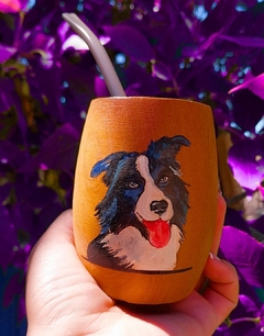 Mate perro Collie