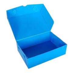 CAJA DE ARCHIVO PLASTICA - comprar online