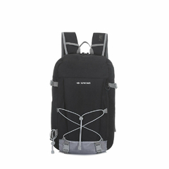 Mochila Alpine Skate (16242) en internet