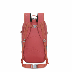 Imagen de Mochila Alpine Skate (16243)