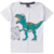 Conjunto Infantil manga curta branco Dinossauro Roar - comprar online