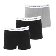 Pack 03 cuecas Tommy Hilfiger na internet