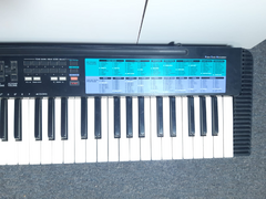 Organo Casio CA- 100 en internet