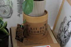 Mini Kit de semillas de flores - comprar online