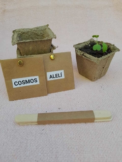 Mini Kit de semillas de flores - tienda online