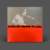 Caetano Veloso - Transa (LP, Importado, Novo, Lacrado)