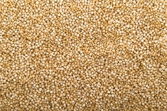 Semillas de Quinoa x 250gr - comprar online