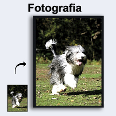 Quadro Fotografias do seu Pet - comprar online