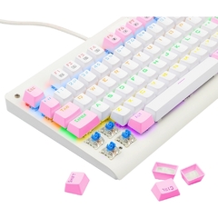 Teclado Gamer Mecânico Redragon Dark Avenger Rainbow Pink/White Switch Blue - comprar online