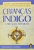 Crianca Indigo E Macacos Atrevidos - comprar online