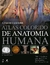 Abrahams & Mcminn Atlas Colorido De Anatomia Humana - comprar online