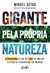 Imagem do Gigante pela própria natureza: Como lideranças que vão além do ESG podem tornar o Brasil a superpotê