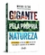 Gigante pela própria natureza: Como lideranças que vão além do ESG podem tornar o Brasil a superpotê